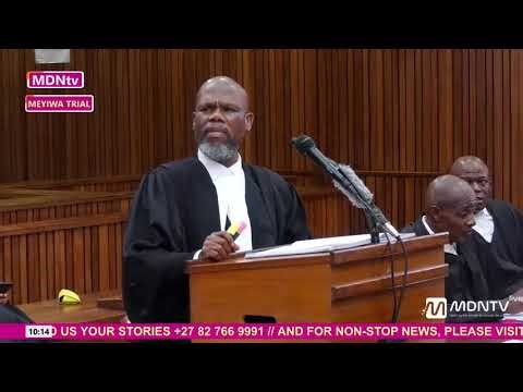 SENZO MEYIWA TRIAL | ADV RAMOSEPELE REVEALS DEFENCE WITNESSES