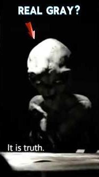 Let’s Talk About the Grays