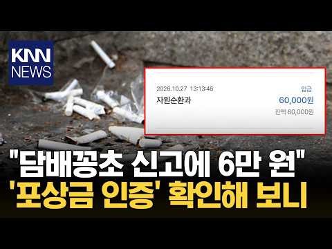 "꽁초 투기 신고했더니 6만 원?" SNS 난리 난 '창조경제'의 실체 / KNN