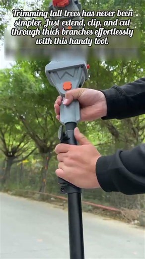 Cut High Branches Easily With This Mini Chainsaw!