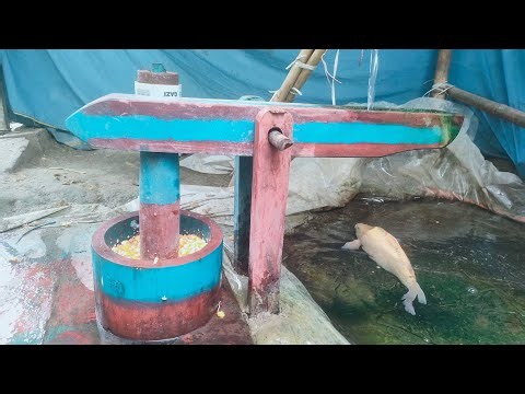 water powered pounder corn live