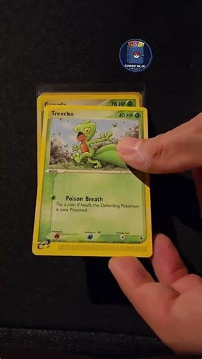 evolution of treecko 🌿 #pokemon #treecko #grovyle #sceptile