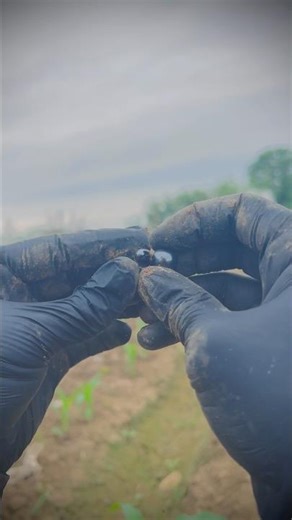 DAY 74 of 75 - wait for end 😱