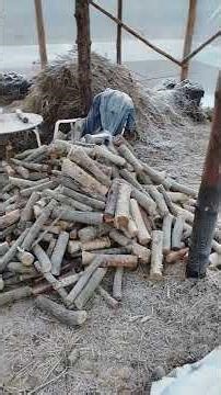 Why my greenhouse has MORE frost than outside (Winter Humidity Explained)