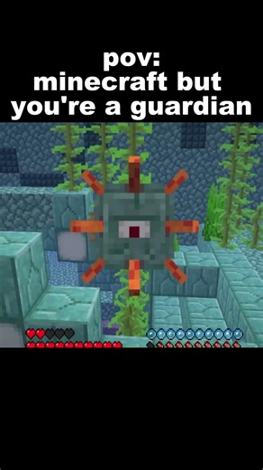 pov: minecraft but you're a guardian..