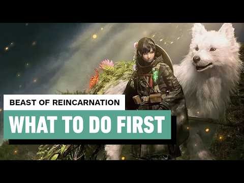 Beast of Reincarnation: 9 Best Things To Do First