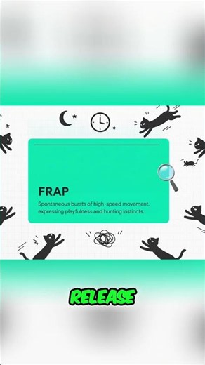 Cat Zoomies: The Science Behind FRAPS Explained! #shorts