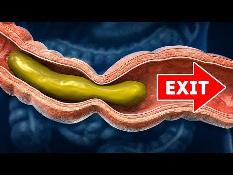 How Your Food Turns Into Poop (And Why Ancient Poop Was Better)