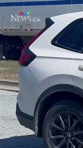 Halifax has 3,000 potholes to fill