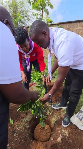 Kenyans for Kenyans: Plant More Trees for a Greener Kenya