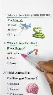 Can You Guess These Animal Facts? #shorts