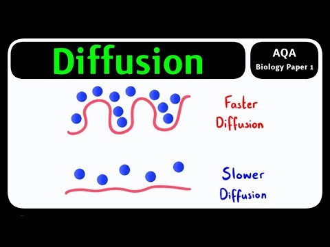 GCSE Biology AQA - Diffusion & Exchange Surfaces | Moving Particles [2026 exams]