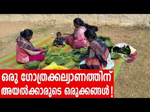 Sancharam | Ranchi -11 | Santhosh George Kulangara | Safari TV