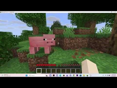 My minecraft gameplay on java (part 1)