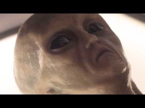 These Real Alien Sightings Changed History Forever