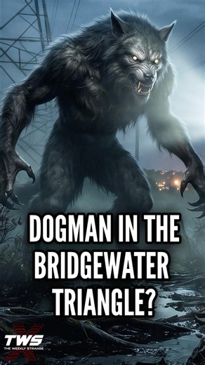DOGMAN IN THE BRIDGEWATER TRIANGLE? #paranormalpodcast #podcast THE WEEKLY STRANGE