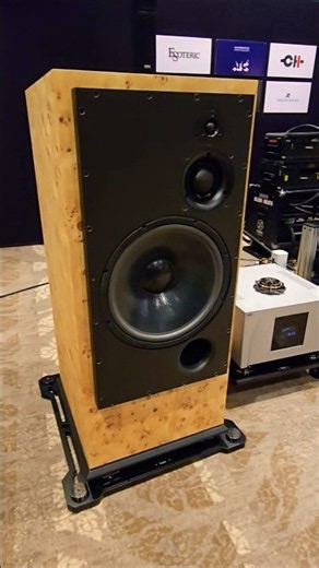 ATC SCM150PSLT 🔊 Wow Factor at the BAV Show #atc #audiophile #hifi #hiend #stereolove
