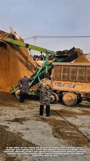 Bulk Material Loading Using Conveyor Belt | Efficient Transport System.