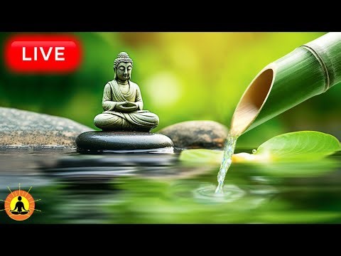 🔴 Relaxing Music 24/7, Stress Relief Music, Sleep Music, Meditation Music, Study, Calming Music