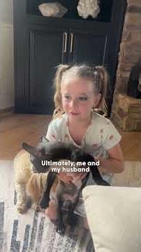 Breeder Leaves Frenchie By Side Of The Road For Being "Contagious" | The Dodo