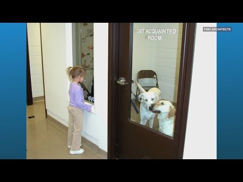 How modern shelter design is helping pet adoptions in Northeast Ohio