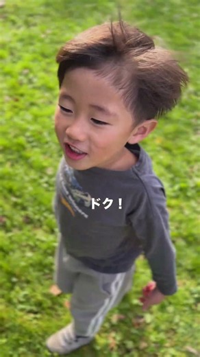 5歳の息子の英語レッスン😆Venemous🐍
