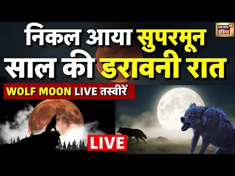 Wolf Moon January 2026 LIVE : 3 जनवरी को नए साल का पहला सुपर मून| Purnima | Astrology | Super Moon
