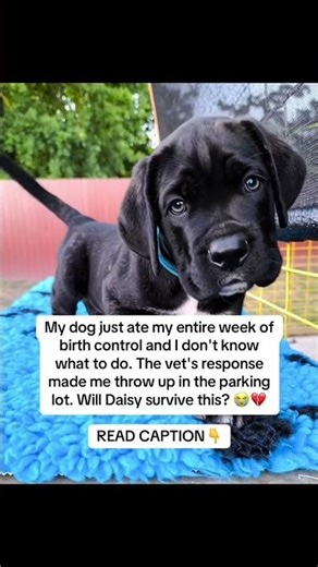 READ CAPTION 👇🏻