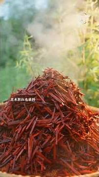 Shu Brocade Mastery Revealed ◈ Ancient Silk Craft Where Every Inch Holds Gold Value