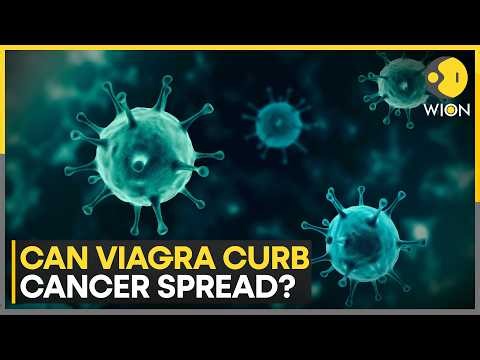 Viagra Likely To Curb Cancer Spread: Scientists Find Promising Evidence | WION News