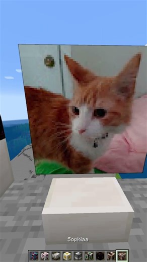 I'm Adding my Subscribers to Minecraft... 😱 #shorts p544