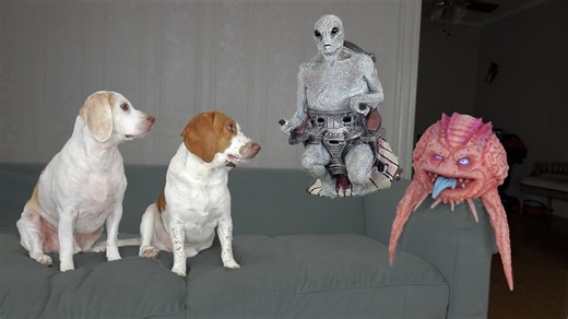 Dogs steal an alien UFO during invasion prank