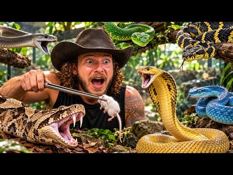CLOSE CALL Feeding Venomous SNAKES!