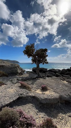Kedrodasos Beach, Crete 🇬🇷 | A Hidden Paradise of Crystal-Clear Waters #KedrodasosBeach