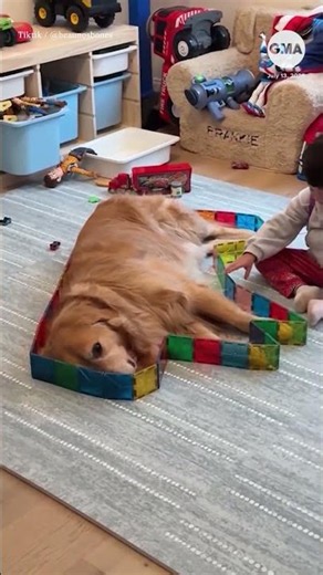 One mom stumbled upon her son and the family dog happily keeping each other company.