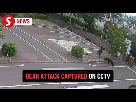 Four injured in bear attacks in northeast Japan
