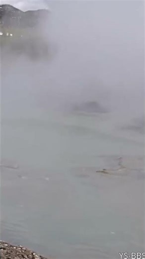 Yellowstone's Black Diamond Pool erupts in Biscuit Basin sending steam and debris into the air