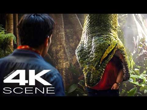 Colossal Anaconda Swallows Jack Black (2026) 4K Blu-ray HDR10+ | Anaconda Movie Scene