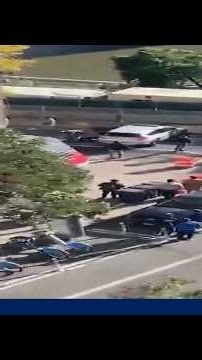 Protest erupt after man shot and wounded by ICE officer in New York City