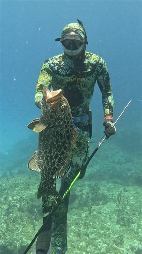 Expert Underwater Grouper Fishing | Ryan Myers Spearfishing