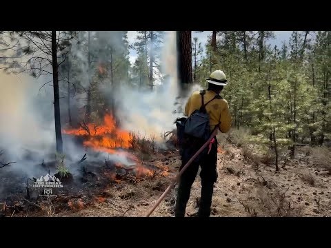 How firefighters used a lightning fire to thin Oregon forests