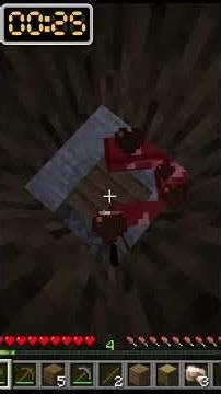 Minecraft But The World Has RANDOM LAYERS!