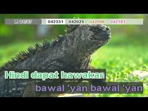 Pribado - Toni Fowler, Tito Vince & Papi Galang (Karaoke)