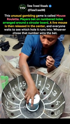 Mouse Roulette: A Game Where a Mouse Picks the Winner #shorts