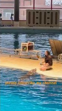 Dolphins at National Aquarium Baltimore #short #shortsfeed #shortvideo #dolphins