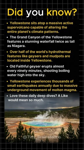 Yellowstone’s Secret That Could End Modern Life