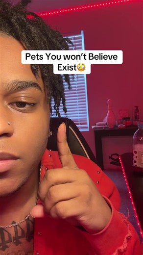 ItsMarr™ (@kurlyheadmarr)’s video of scrappy