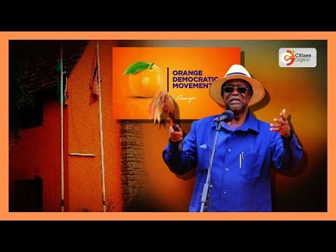 Dr. Oburu Oginga declares 2027 presidential bid, warns ODM hopefuls