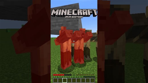 Diferencias entre Minecraft Java y Minecraft Bedrock #1
