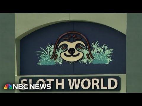 Calls grow to shut down planned Orlando attraction after 31 sloth deaths
